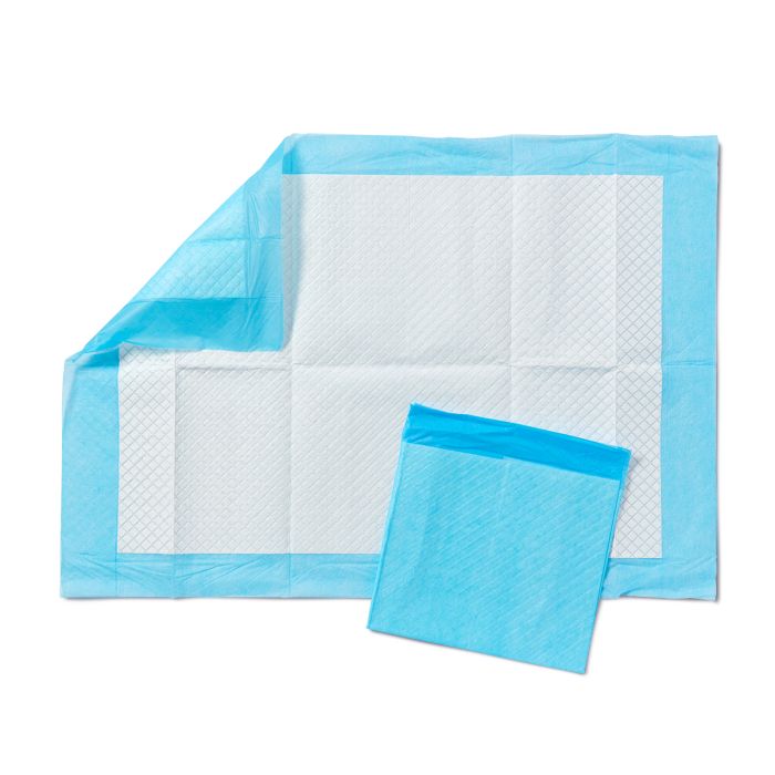 Alliance Disposable Fluff-filled Underpads, 17" x 24" 10/pk