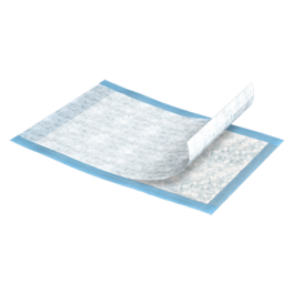 Daigger Scientific] Absorbent Pads with Plastic Backing, 23 x 36