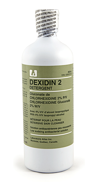 Dexidin 2 Anti-Septic Skin Cleanser and Hand Wash, 450ml 